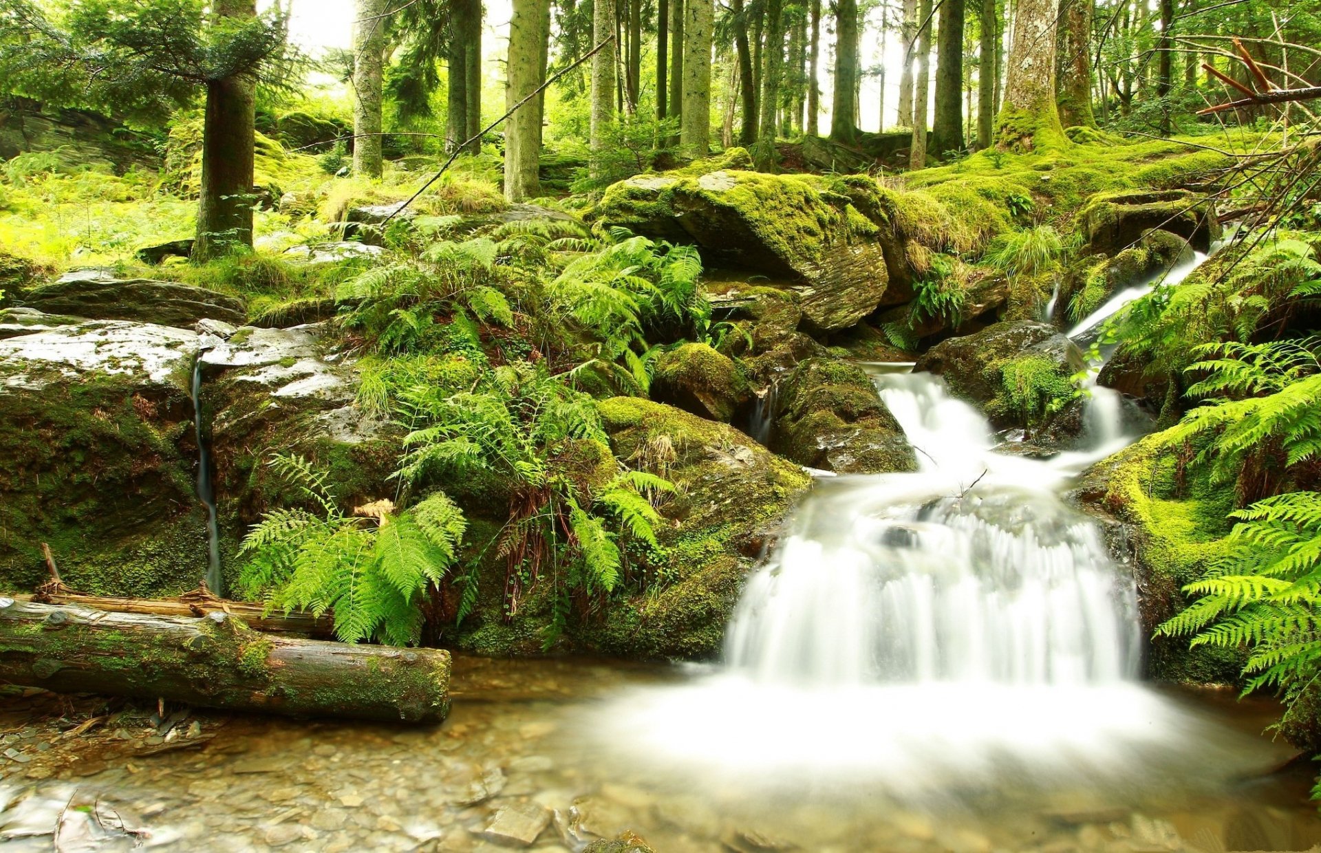 Download Nature Stream HD Wallpaper