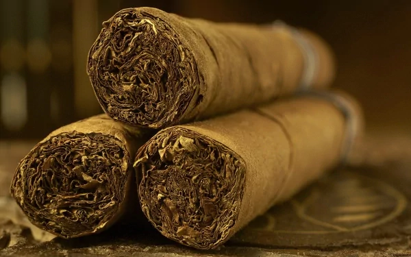 man made cigar HD Desktop Wallpaper | Background Image