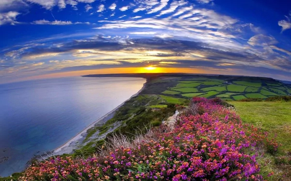 A stunning coastline at sunset, framed by vibrant wildflowers and rolling green fields, capturing the serene beauty of nature in a breathtaking HD desktop wallpaper.