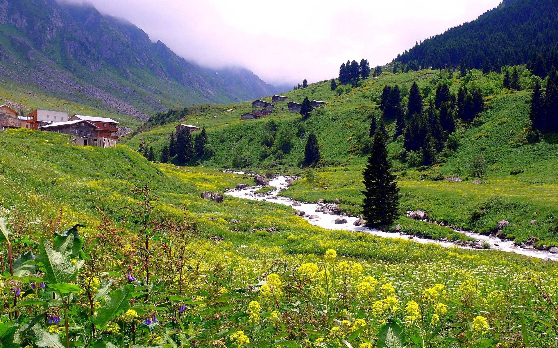 A serene landscape featuring lush green hills, a flowing river, and scattered buildings beneath a cloudy sky, captured in stunning HD for a desktop wallpaper.
