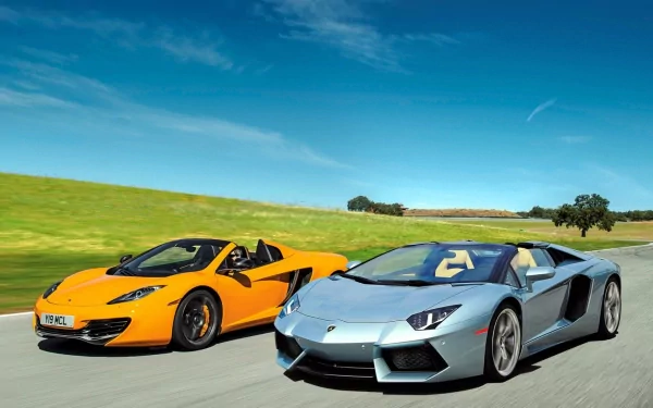 HD desktop wallpaper featuring a sleek Lamborghini Aventador in silver, racing alongside another luxurious car on a clear, sunny day with a scenic countryside background.