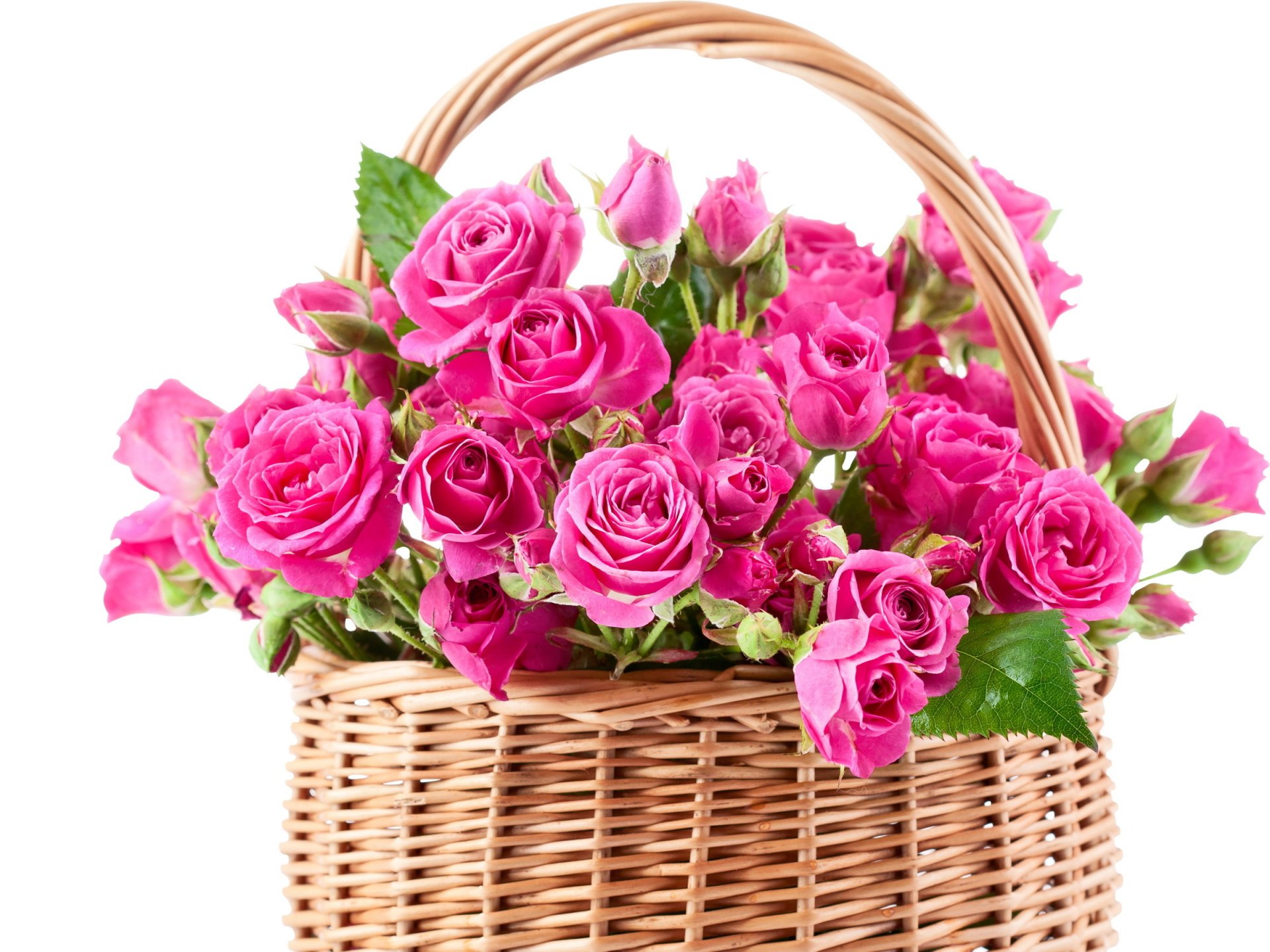 A vibrant arrangement of pink roses in a woven basket, designed as a high-definition desktop wallpaper and background, showcasing the beauty of man-made floral artistry.