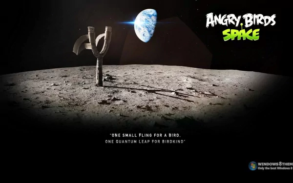 video game angry birds space HD Desktop Wallpaper | Background Image