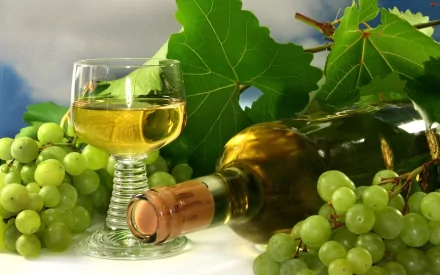 A glass of white wine beside a bottle, surrounded by fresh green grapes and vibrant grape leaves, creating a lush and inviting food and wine-themed desktop wallpaper.