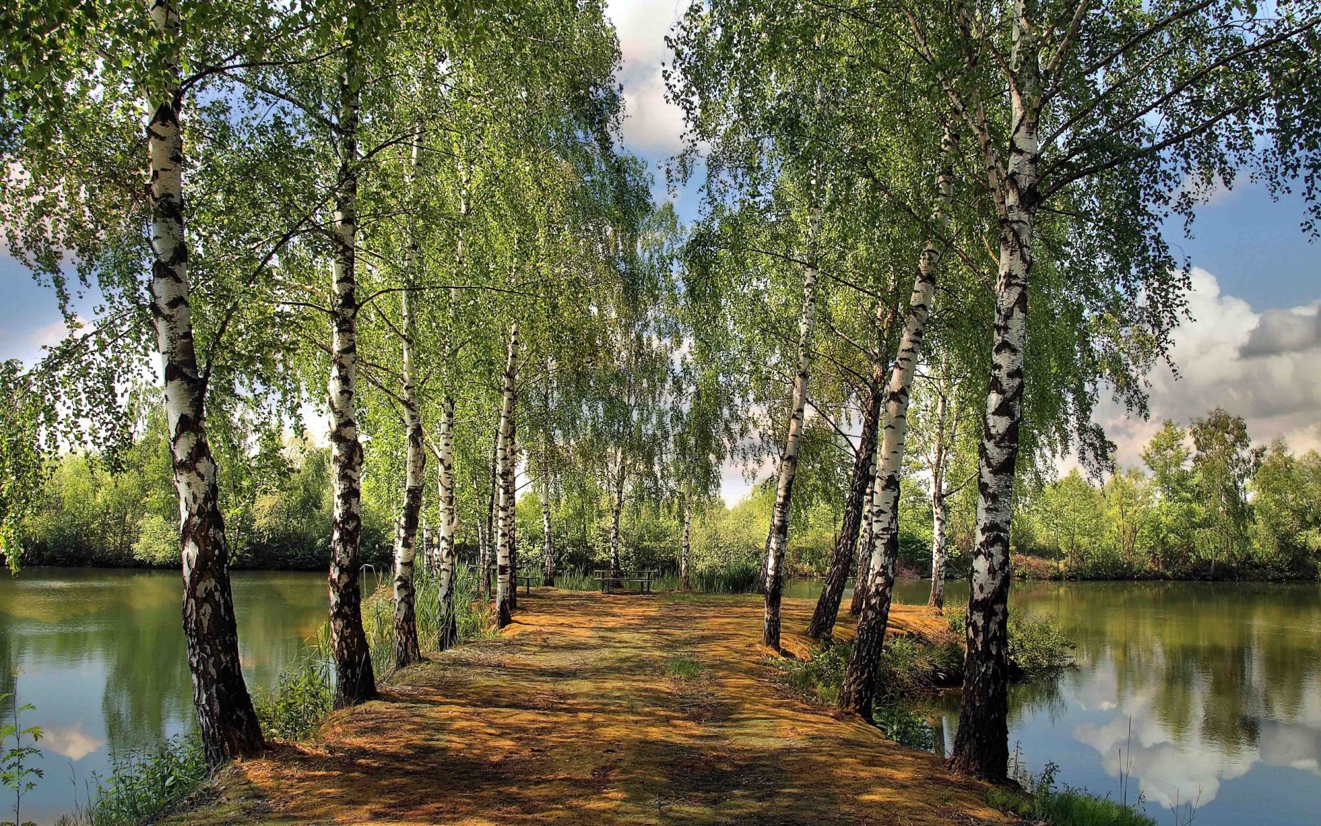 HD desktop wallpaper showcasing a serene nature landscape with a birch-lined pathway flanked by calm water under a partly cloudy sky.