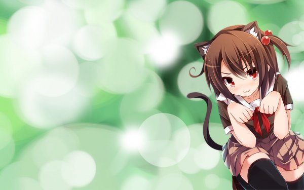 Anime Girl Cat Girl HD Wallpaper | Background Image