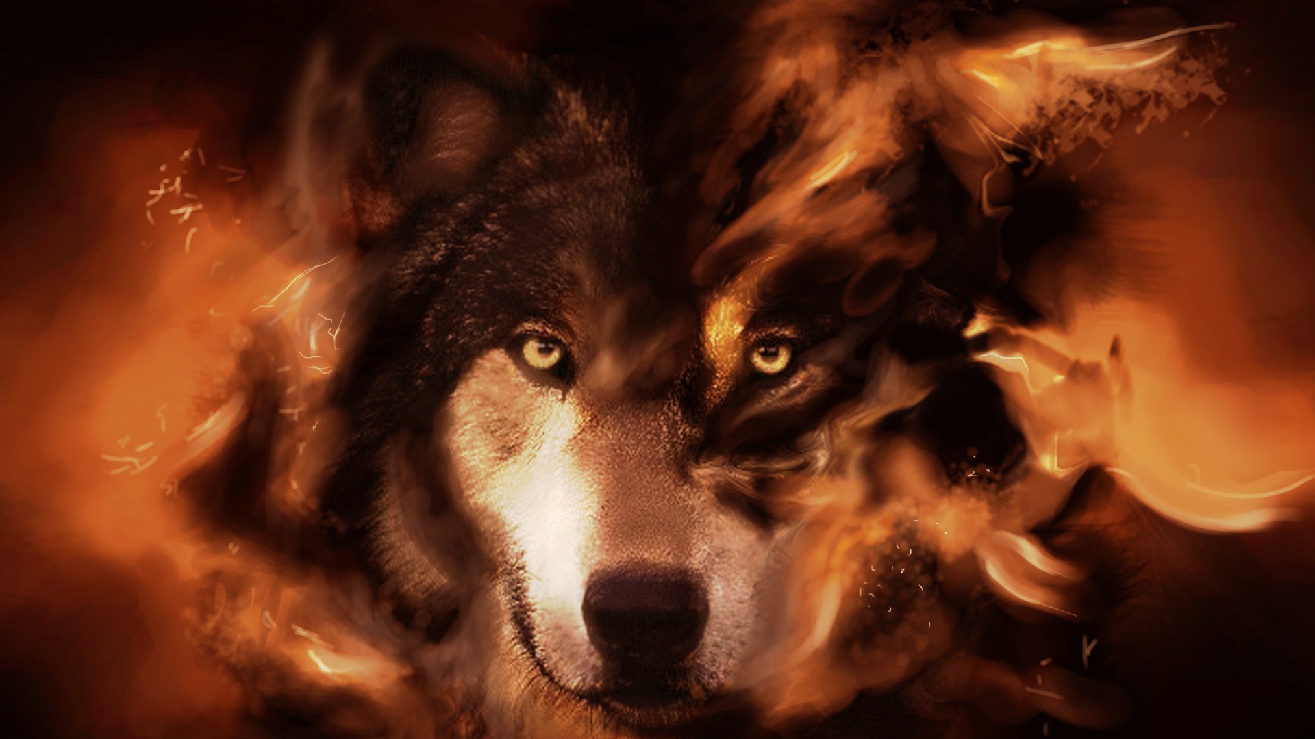 Wolf Full HD Wallpaper and Hintergrund | 1920x1080 | ID:393936