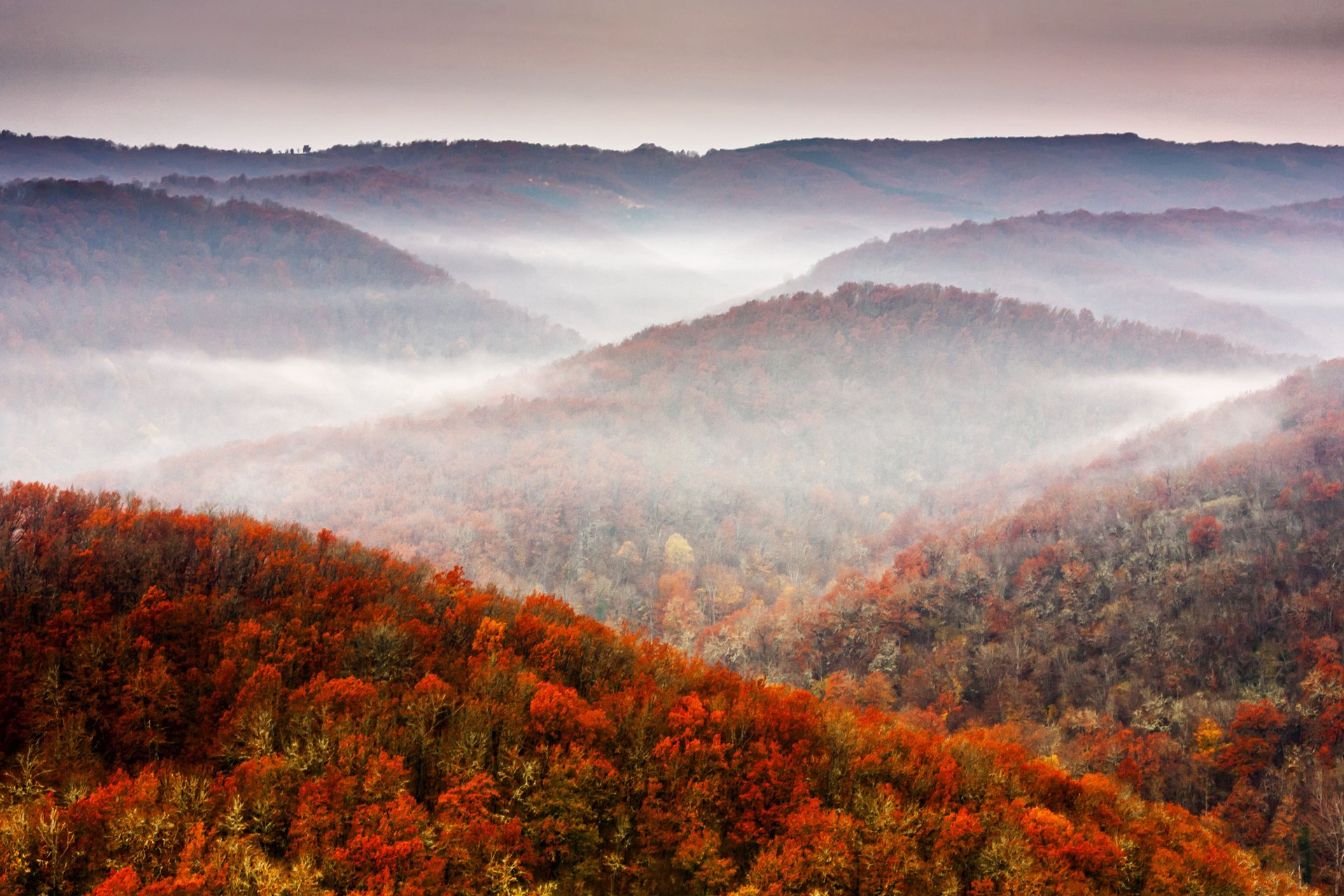 HD PC desktop wallpaper showcasing a serene nature scene with rolling hills covered in vibrant fall foliage and mist gently settling in the valleys.