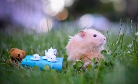 A charming mouse sits in lush green grass beside a miniature tea set and a teddy bear, captured in vibrant 4K Ultra HD, enhancing your desktop wallpaper experience.