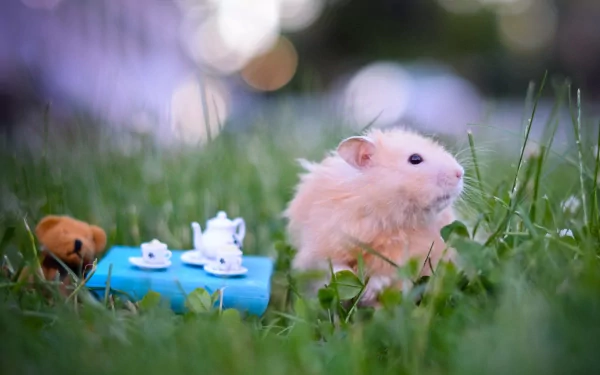 A charming mouse sits in lush green grass beside a miniature tea set and a teddy bear, captured in vibrant 4K Ultra HD, enhancing your desktop wallpaper experience.