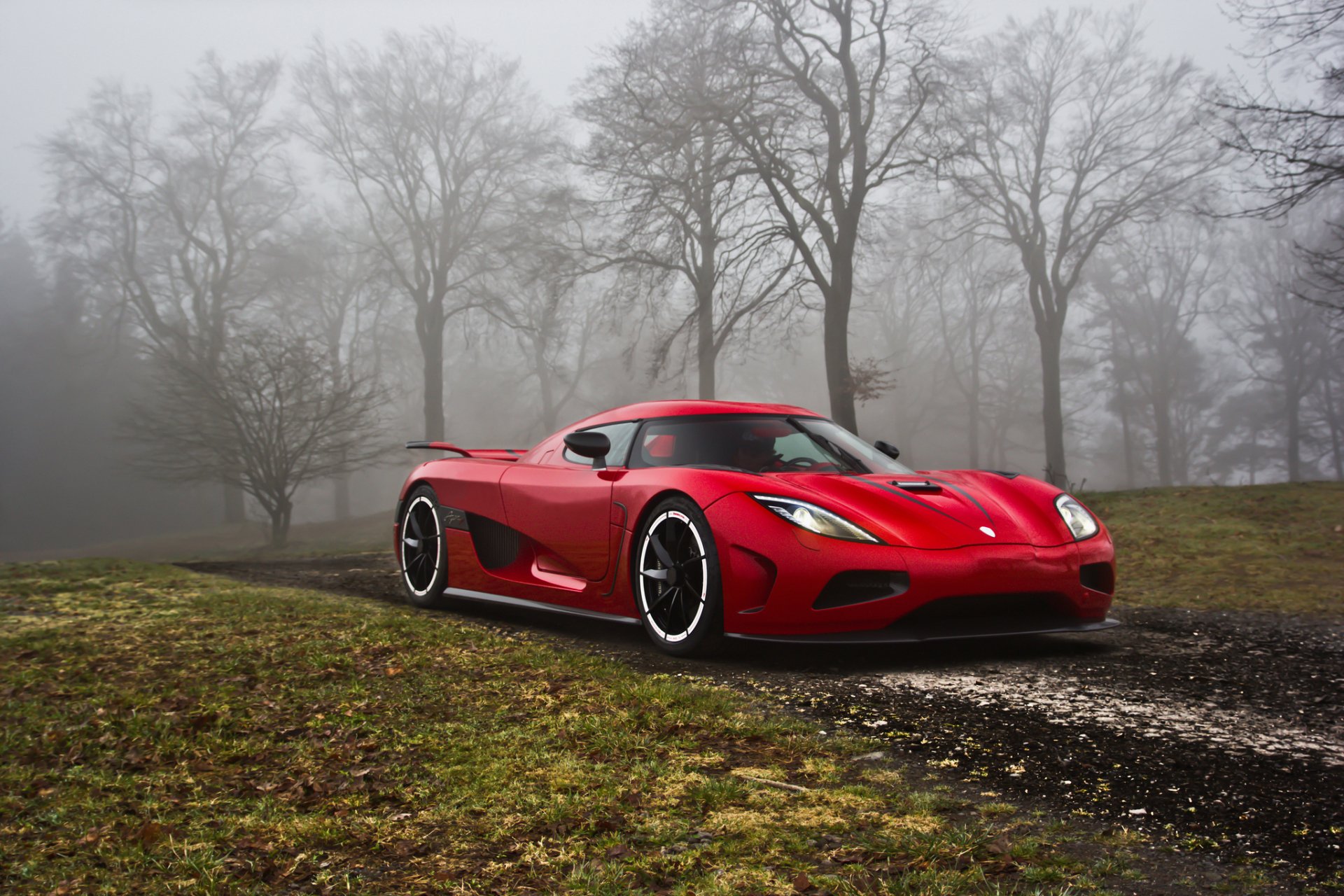 Download Vehicle Koenigsegg HD Wallpaper