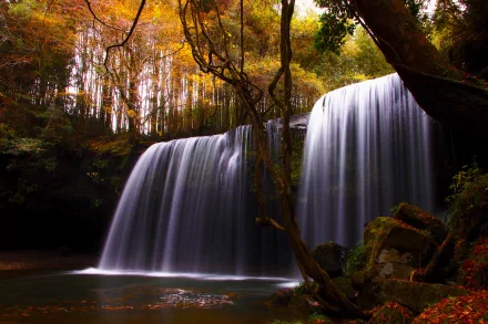 A serene forest scene featuring a waterfall cascading into a tranquil stream, surrounded by vibrant autumn leaves and lush greenery, depicted in stunning 4K Ultra HD resolution.