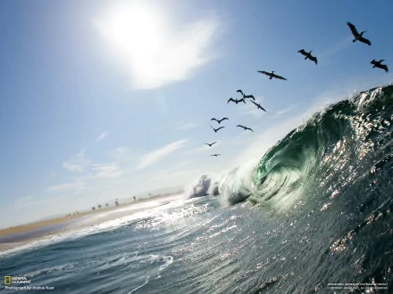 nature wave HD Desktop Wallpaper | Background Image