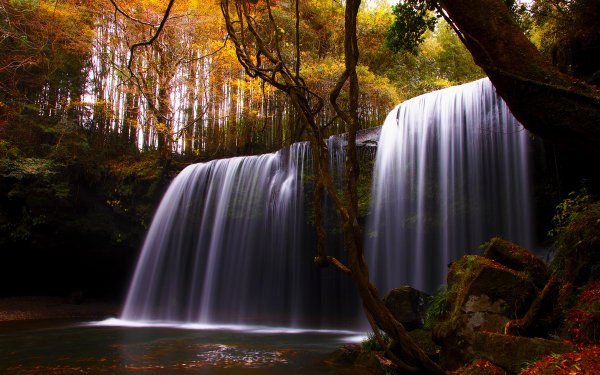 Nature Waterfall Waterfalls Fall Season Leaf River Stream Forest HD Wallpaper | Background Image