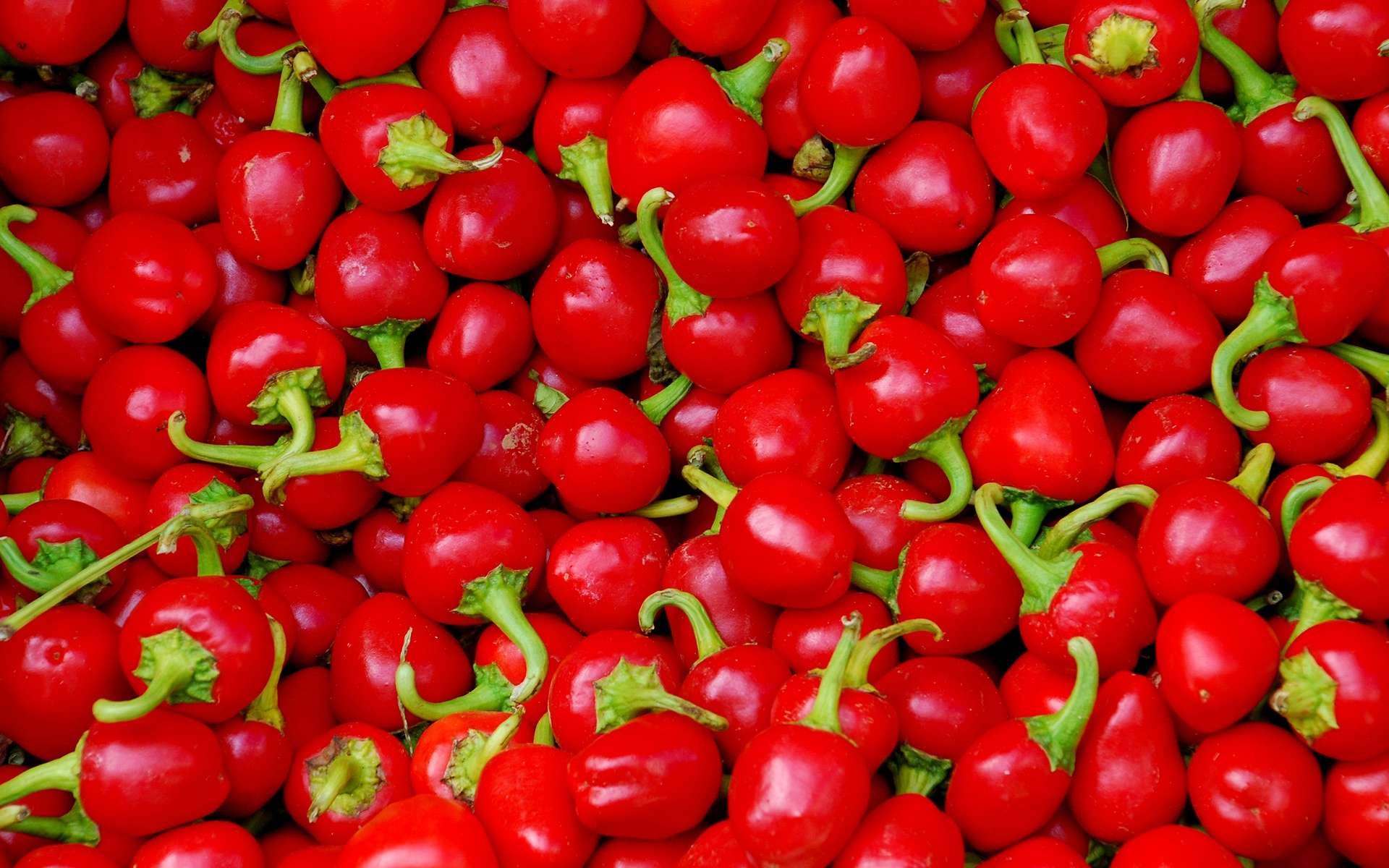 HD desktop wallpaper featuring a vibrant close-up of numerous fresh red peppers with green stems, highlighting rich color and texture in a food-themed background.