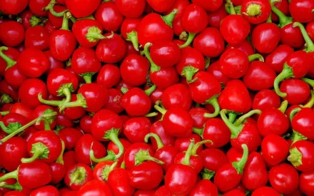 HD desktop wallpaper featuring a vibrant close-up of numerous fresh red peppers with green stems, highlighting rich color and texture in a food-themed background.