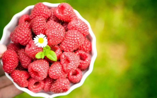 HD desktop wallpaper showing a close-up of fresh raspberries in a white bowl, garnished with a small white flower, against a vibrant green blurred background.