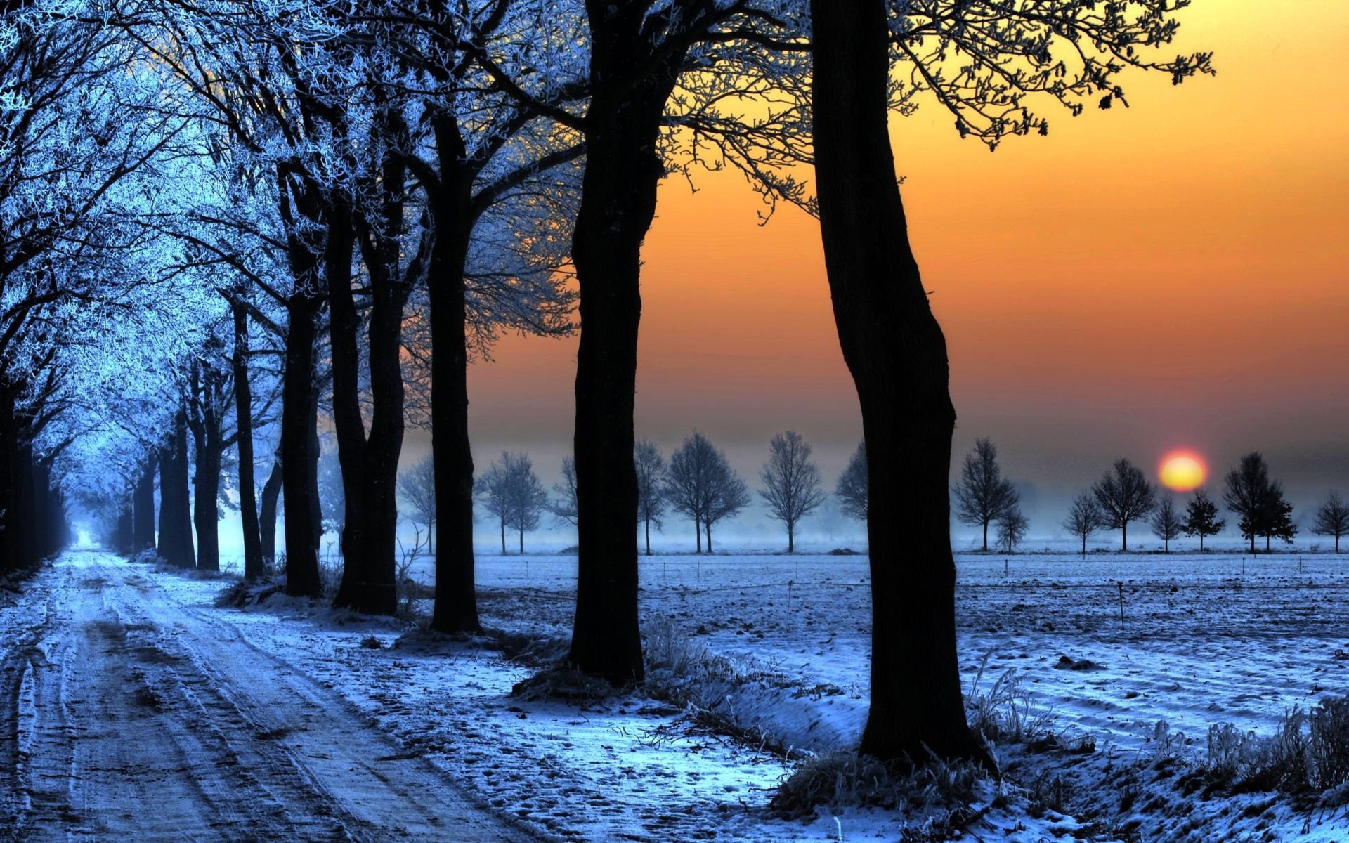 Serene Winter Sunset: A Stunning HD Wallpaper