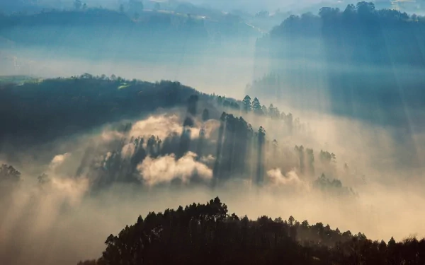 A serene landscape of misty hills illuminated by sunbeams, showcasing the beauty of nature in rich colors, making it an inspiring HD desktop wallpaper.