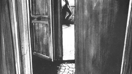 Black & White crow Comic The Crow HD Desktop Wallpaper | Background Image