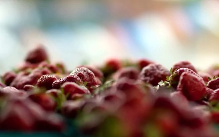 HD PC desktop wallpaper showing a close-up view of fresh, vibrant strawberries with a soft, blurred background.
