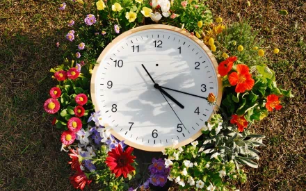 A vibrant clock surrounded by colorful flowers, set against lush green grass, creates a striking contrast in this HD PC desktop wallpaper and background.