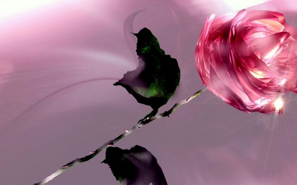 Artistic Flower Flowers HD Wallpaper | Background Image