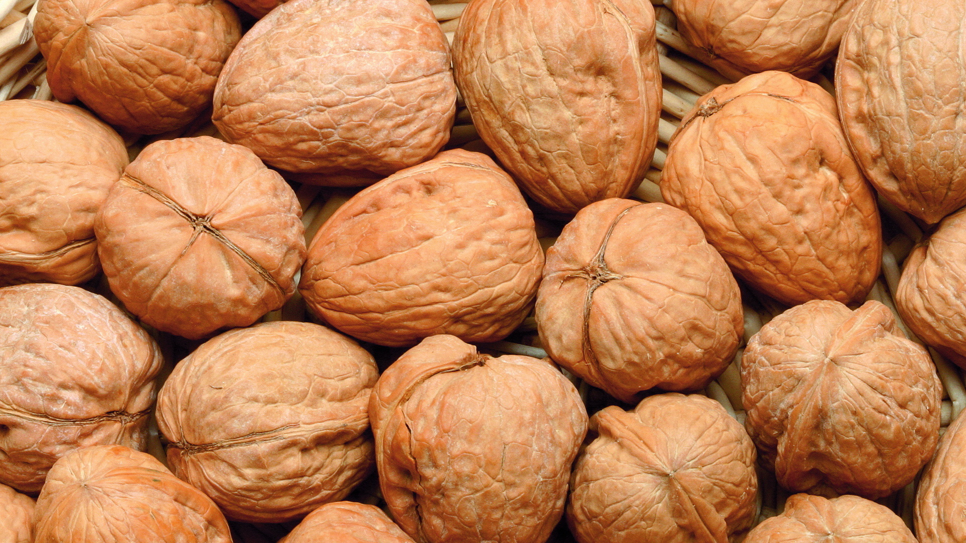 Download Food Walnut HD Wallpaper