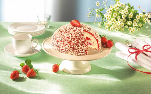 Food Cake Chocolate Sweets Dessert Strawberry Chamomile Bouquet Berry HD Wallpaper | Background Image
