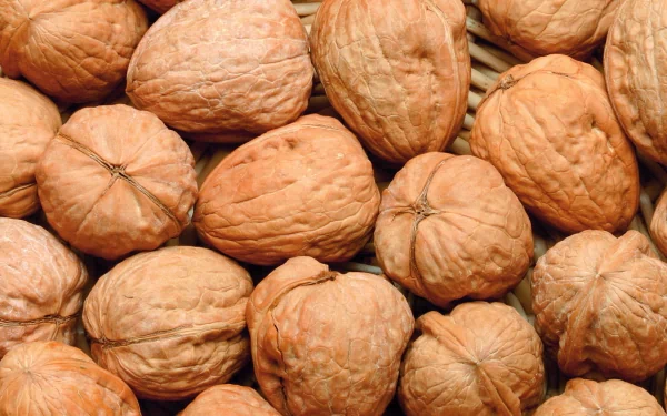 food walnut HD Desktop Wallpaper | Background Image