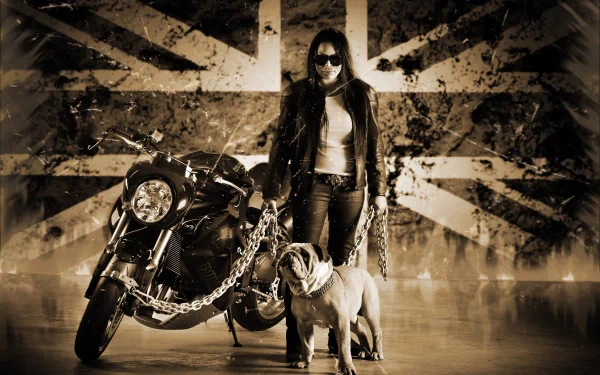  Vilner Triumph Speed Tripple Bulldog Custom Bike