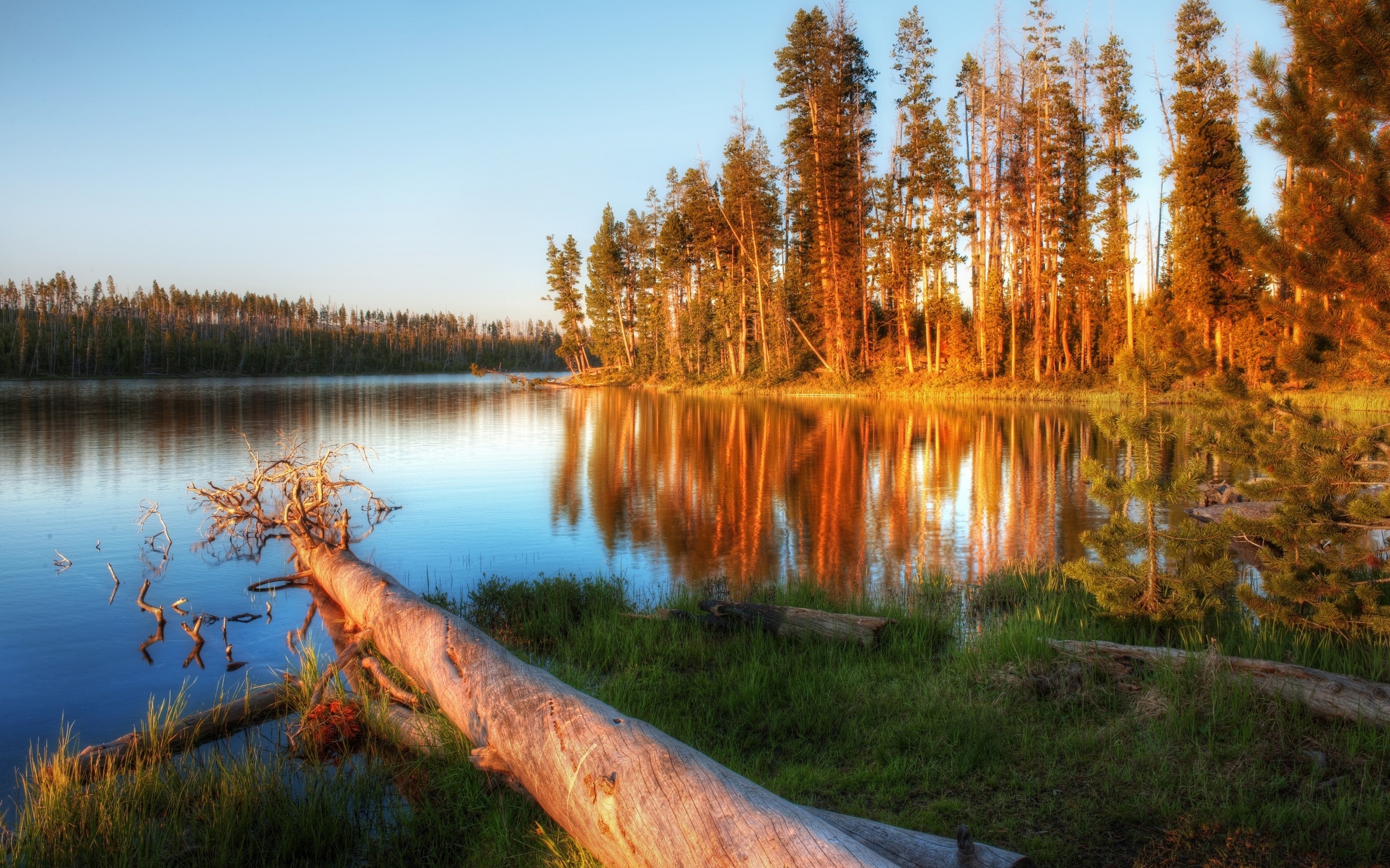 Serene Lake Reflections: A Stunning HD Wallpaper