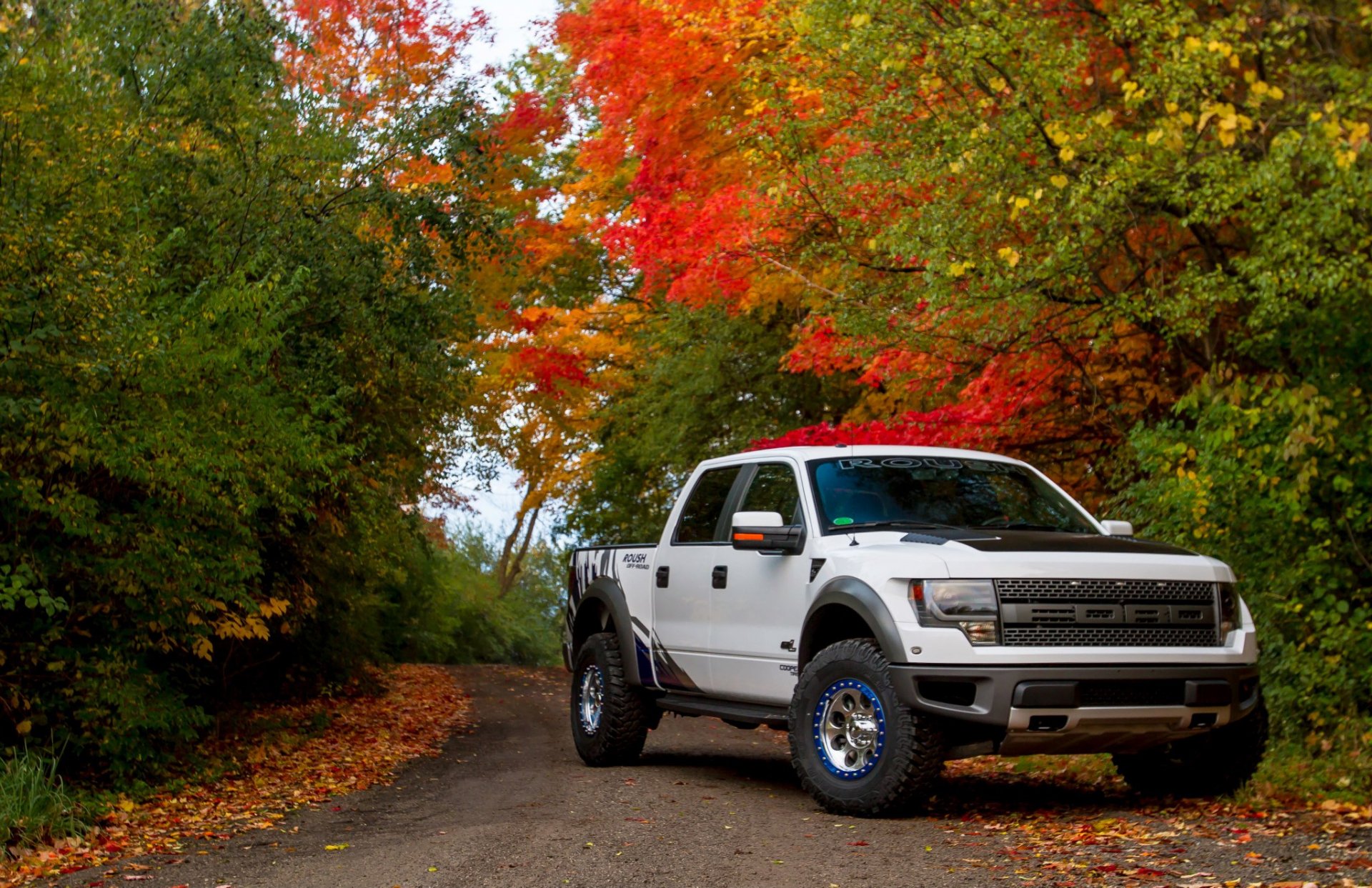 Ford f 150 Raptor в лесу