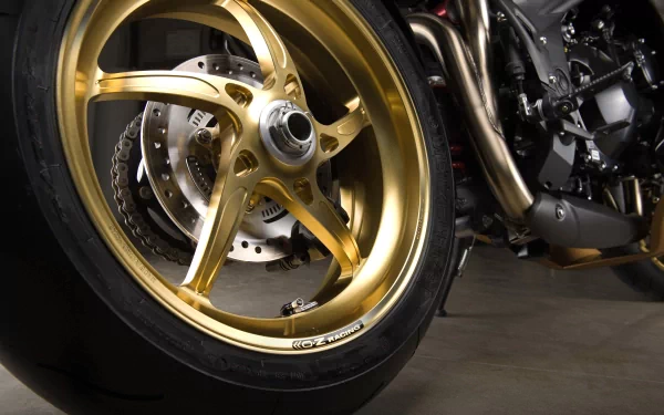  Vilner Triumph Speed Tripple Bulldog Custom Bike