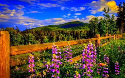 A vibrant landscape featuring a wooden fence surrounded by lush greenery and purple flowers under a blue sky with fluffy clouds, creating a serene and picturesque scene.