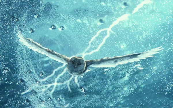 movie Legend of the Guardians: The Owls of Ga'Hoole HD Desktop Wallpaper | Background Image
