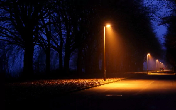 HD PC desktop wallpaper showing a man-made lamp post illuminating a quiet, tree-lined street at night with a deep blue sky background.