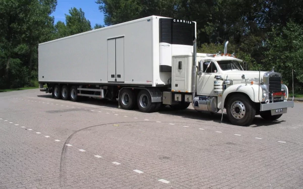 White Mack semi-truck with a long refrigerated trailer parked on a paved road with trees behind — HD PC desktop wallpaper and background.