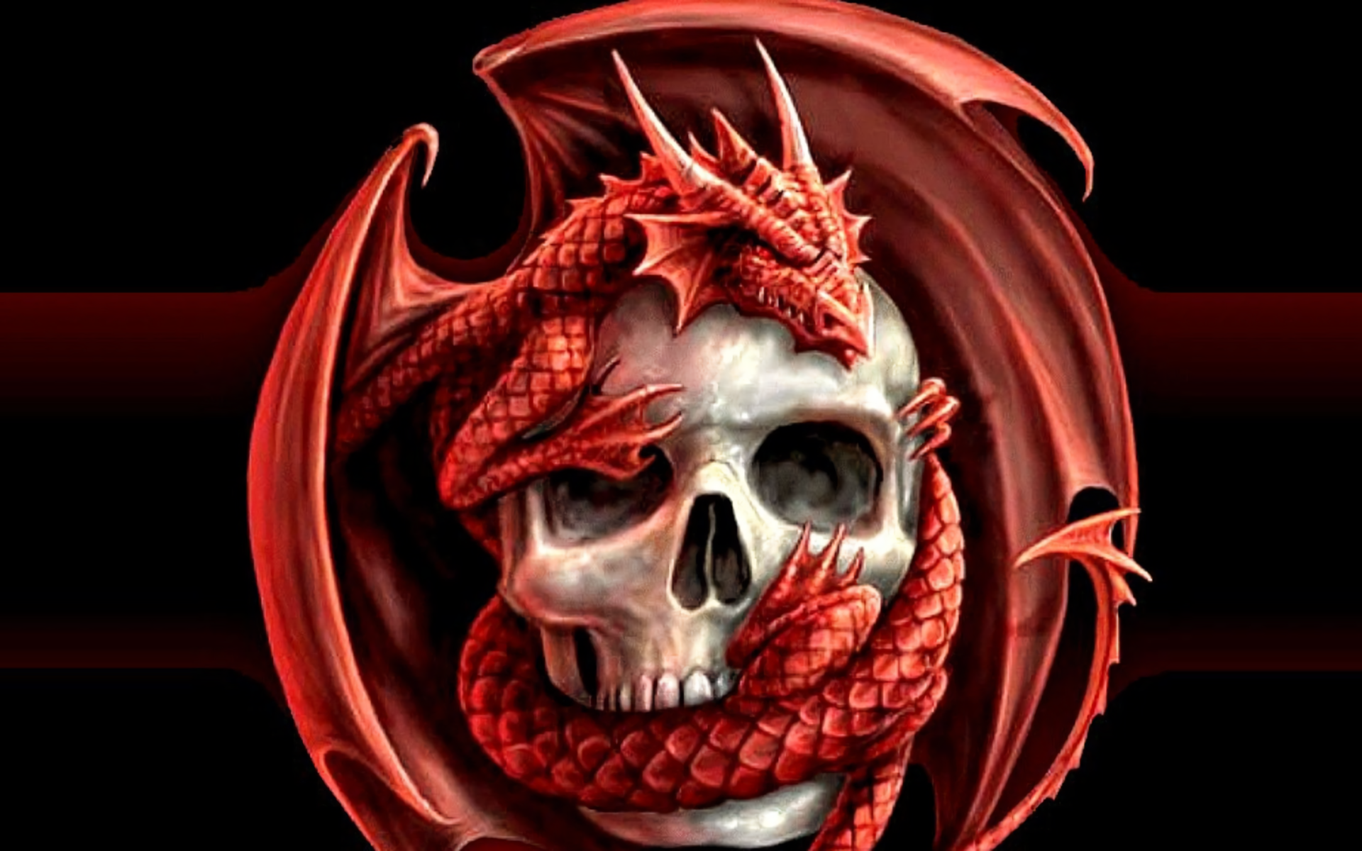 Skull Dragon Full Hd Wallpaper And Background Image 1920x1200 Id403855