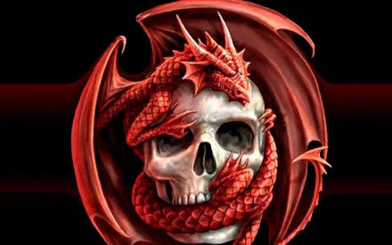 A red dragon curled around a human skull against a dark background, creating a captivating fantasy-themed HD desktop wallpaper.