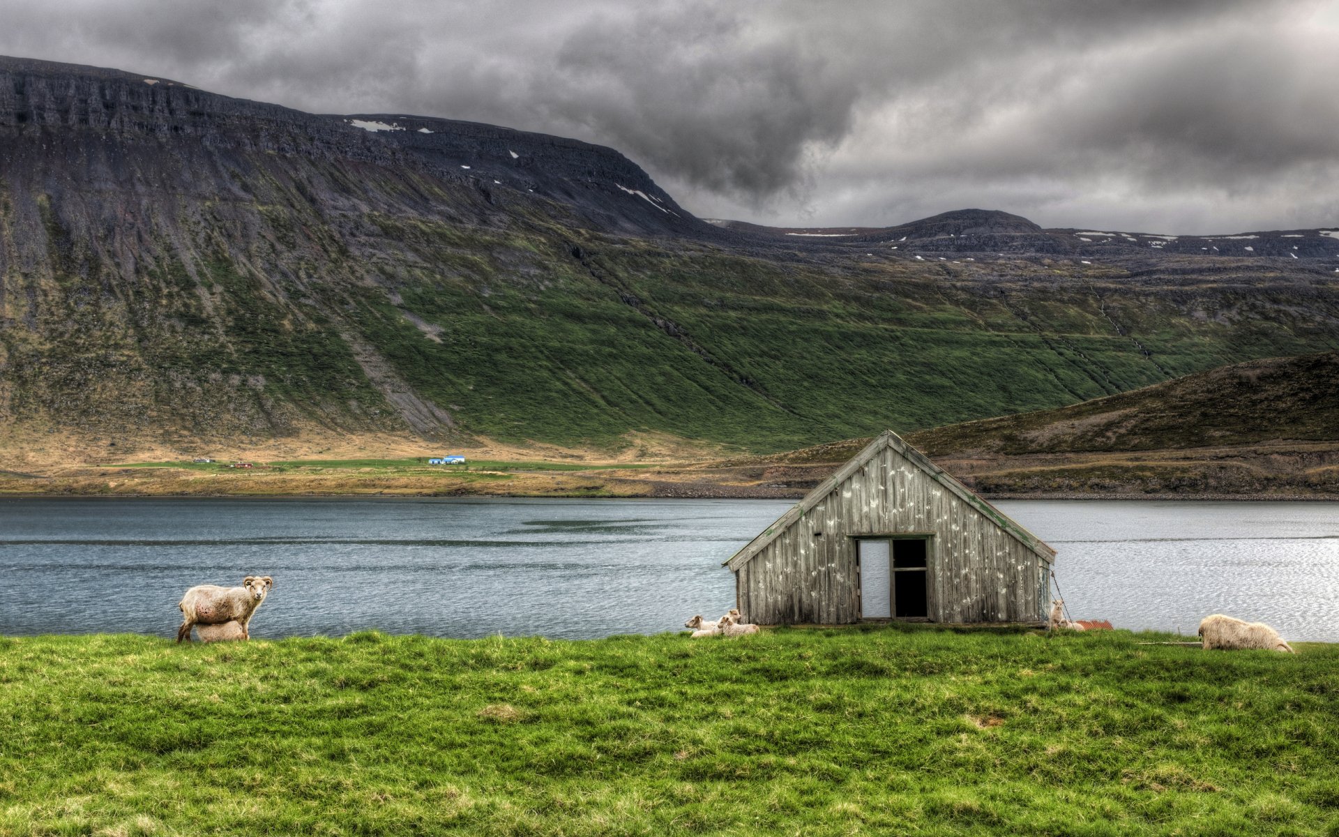HD PC desktop wallpaper featuring a peaceful sheep grazing near a rustic barn by a serene lake with mountains and cloudy skies in the background.