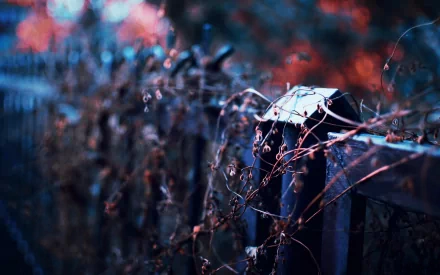 man made fence HD Desktop Wallpaper | Background Image
