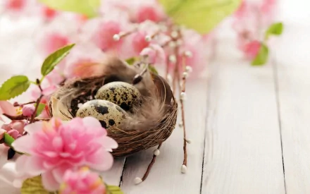 A beautiful nest with speckled eggs, surrounded by delicate pink flowers, captures the essence of Easter, making it an enchanting HD desktop wallpaper for the holiday.