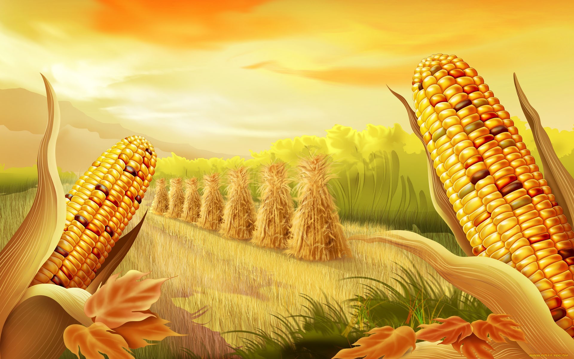 Food Corn HD Wallpaper