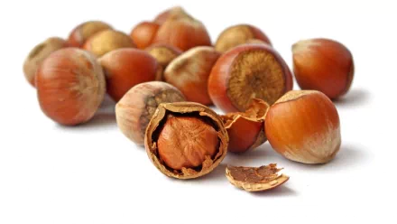 food hazelnut HD Desktop Wallpaper | Background Image