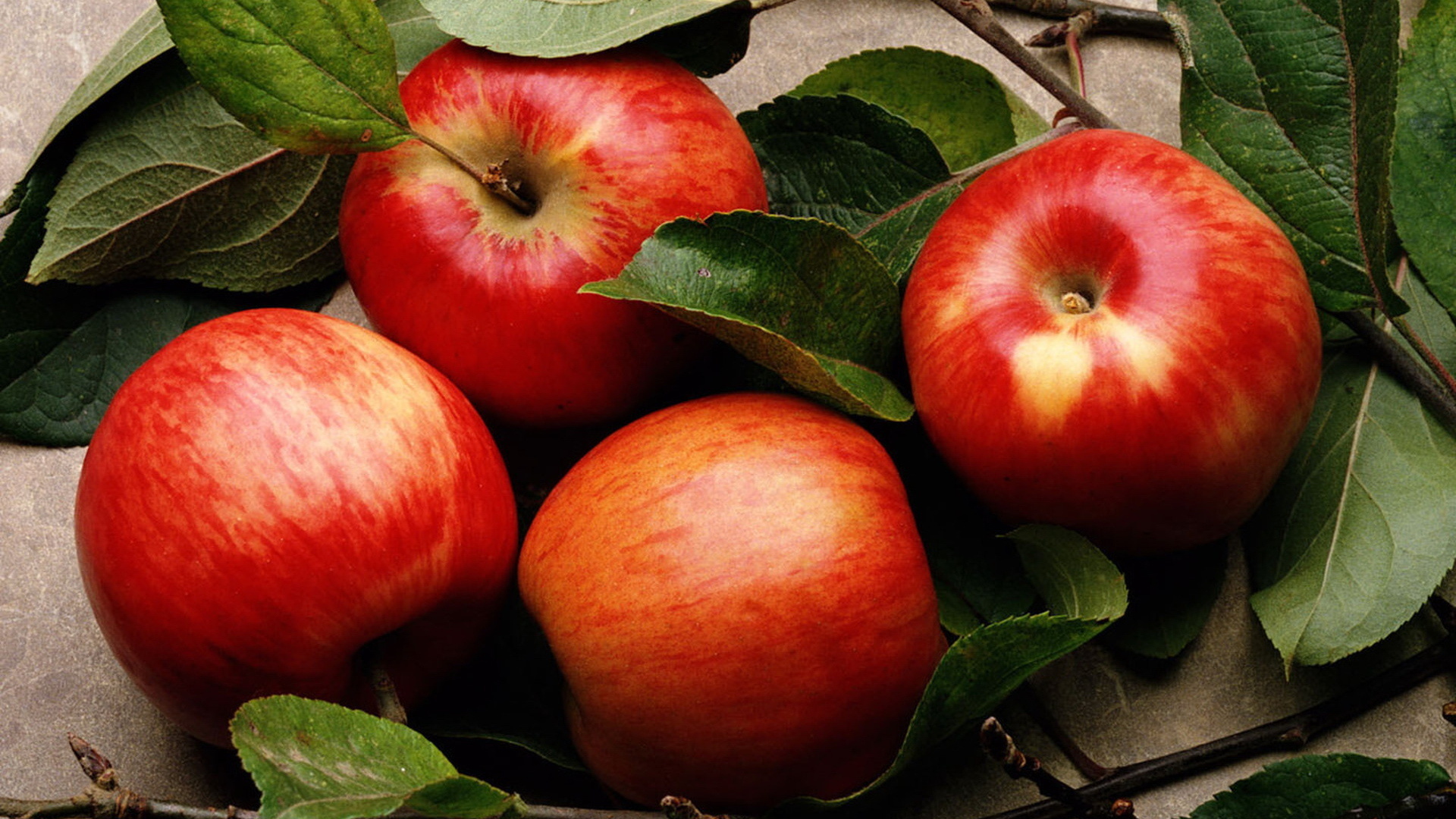 Food Apple HD Wallpaper | Background Image