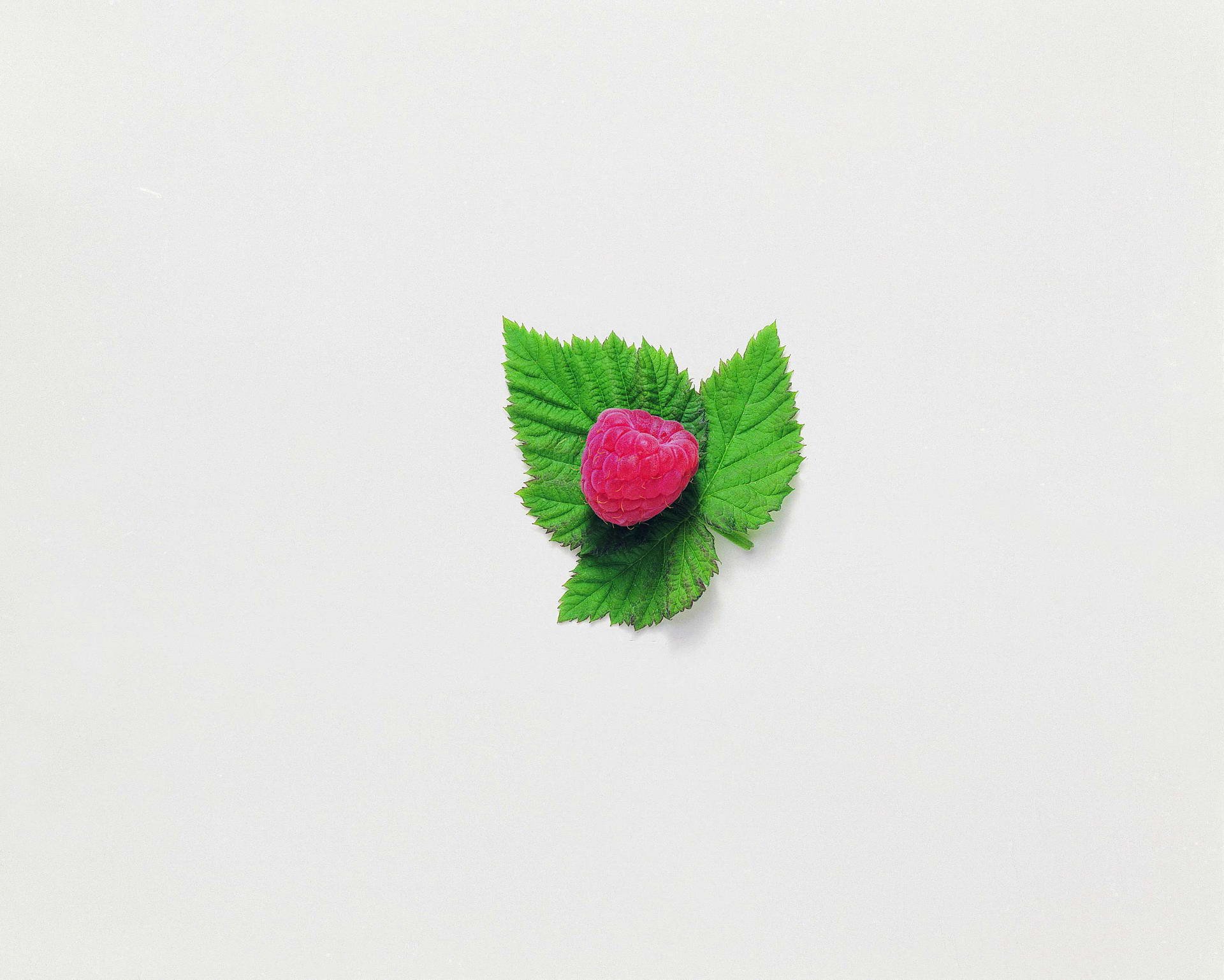 A vibrant raspberry resting on three green leaves against a clean white background, captured in HD for a crisp PC desktop wallpaper.