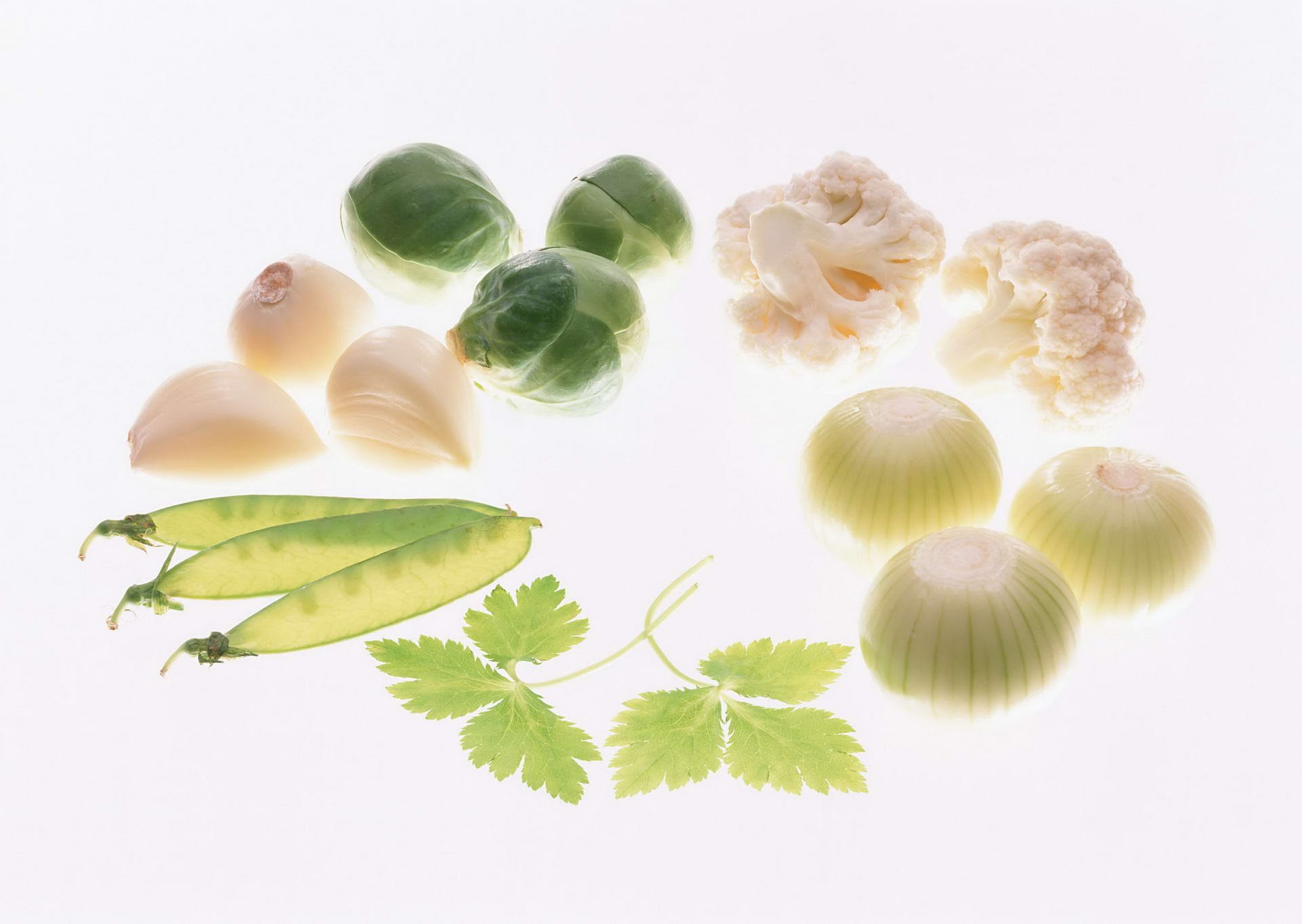 HD PC desktop wallpaper featuring an assortment of vegetables including Brussels sprouts, garlic, cauliflower, peas, onions, and cilantro on a white background.