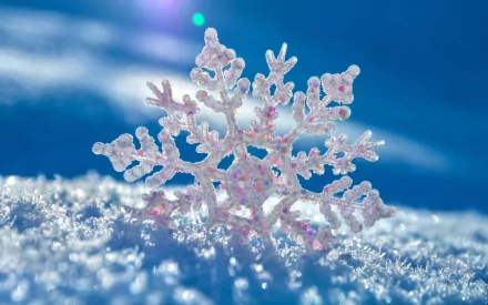 nature snowflake HD Desktop Wallpaper | Background Image