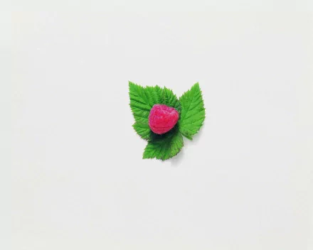 food raspberry HD Desktop Wallpaper | Background Image